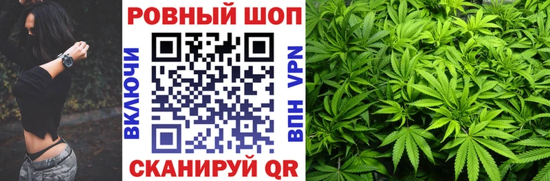 Какие есть наркотики Зима Конопля  Кокаин  ГАШИШ  Псилоцибиновые грибы  Меф  A-PVP 