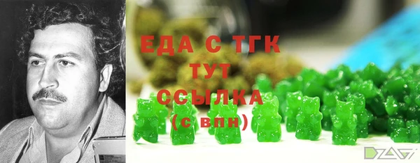 спиды Богородицк