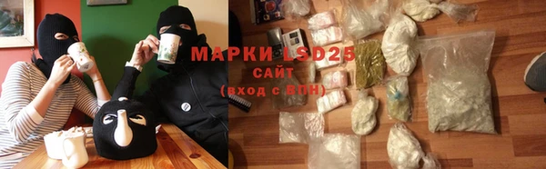 спиды Богородицк