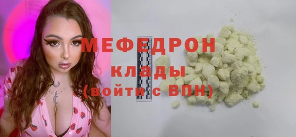 спиды Богородицк