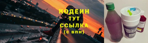 спиды Богородицк