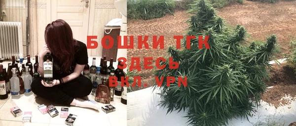 спиды Богородицк