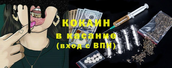 спиды Богородицк