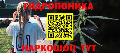 гидра Краснодар