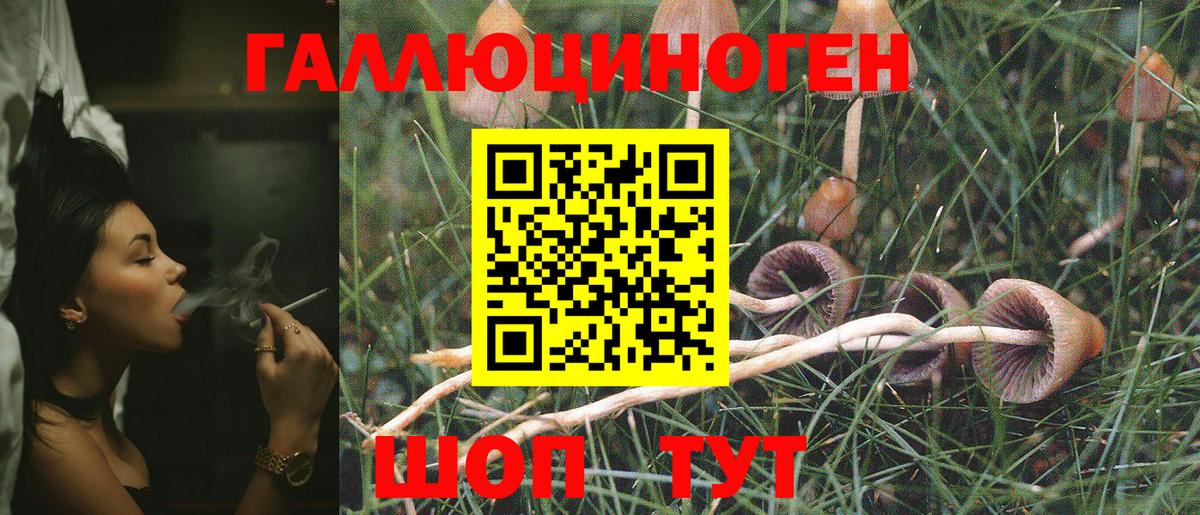 Галлюциногенные грибы Magic Shrooms  Вход с VPN  Зима  Псилоцибиновые грибы MAGIC MUSHROOMS 